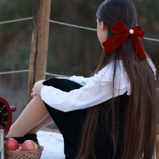 dana arbel